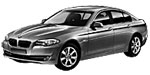BMW F10 U0934 Fault Code